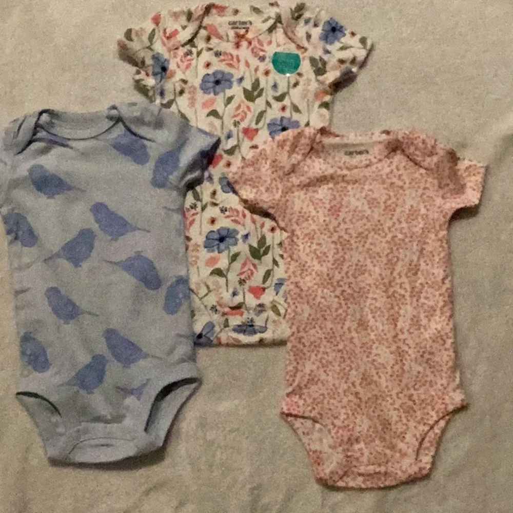 Carter's Blue and Pink Bodysuits Set for Infants - Picture 1 of 10